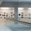 CS01_DSC3329