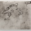 CS06_DSC3337