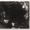 CS13_DSC3340