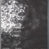 20_9DS5510