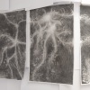 36_9DS5448-1