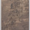 36_9DS5351