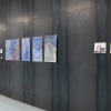 37_DSC4310