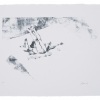 Lisa_Strasser_Maus-Maus-komm-heraus-1