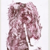 zuula1