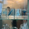 15-IMG_4498