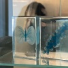 16-IMG_4500