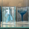 17-IMG_4501