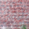 08_DSC1090
