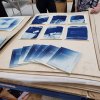 cyanoworkshop2